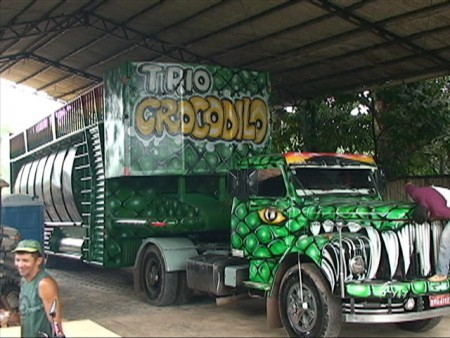 Trio Elétrico Crocodilo